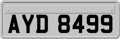 AYD8499