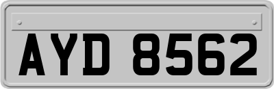 AYD8562