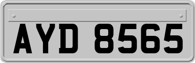 AYD8565