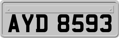 AYD8593