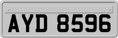 AYD8596