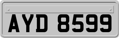 AYD8599
