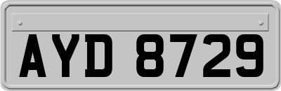 AYD8729