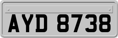 AYD8738