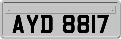 AYD8817