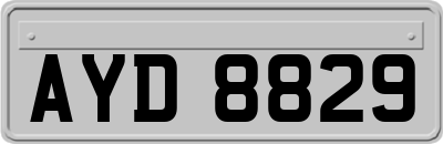 AYD8829
