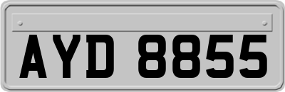 AYD8855