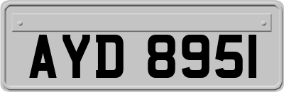 AYD8951