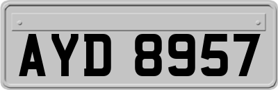 AYD8957