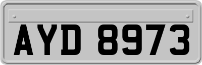 AYD8973