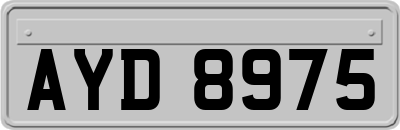 AYD8975