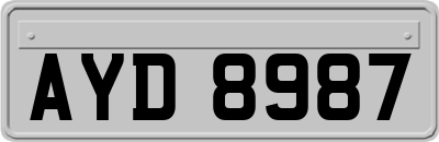 AYD8987