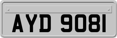 AYD9081