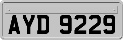 AYD9229