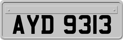 AYD9313