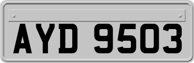 AYD9503