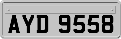 AYD9558