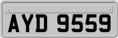 AYD9559