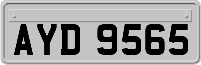 AYD9565