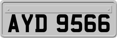 AYD9566