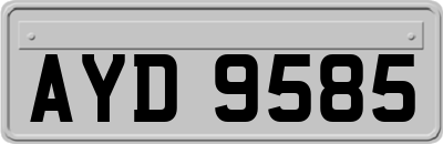 AYD9585