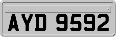 AYD9592
