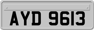 AYD9613