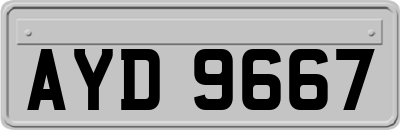 AYD9667