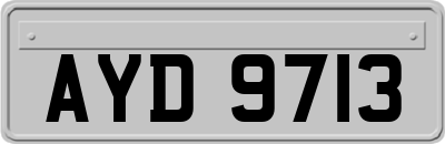AYD9713