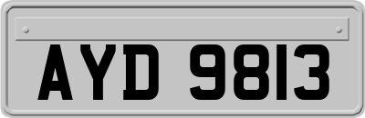 AYD9813