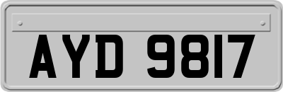 AYD9817