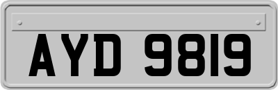 AYD9819