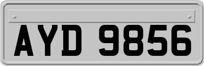 AYD9856