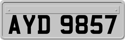 AYD9857