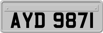 AYD9871
