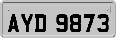 AYD9873