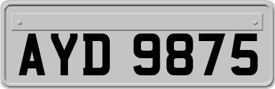 AYD9875