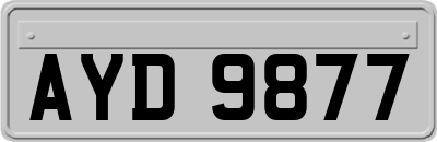 AYD9877
