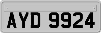 AYD9924