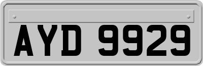 AYD9929