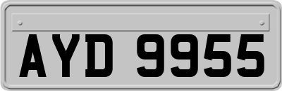 AYD9955