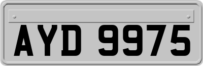 AYD9975