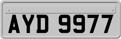 AYD9977