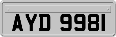 AYD9981