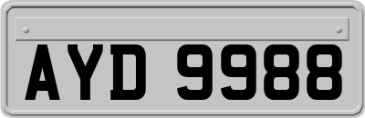 AYD9988