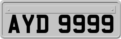 AYD9999