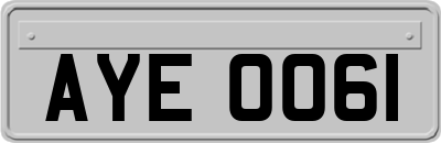 AYE0061