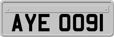 AYE0091