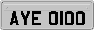 AYE0100