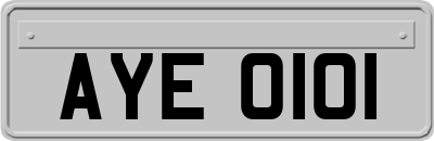 AYE0101